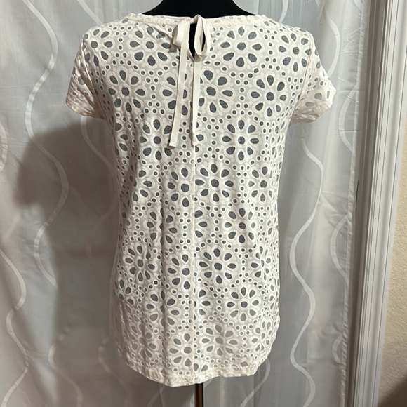 Loft, Beige, Sheer, Lightweight, Short Sleeve,floral Top, Size Small - Picture 3 of 5